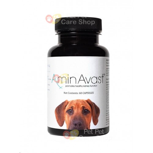 AminAvast Kidney Support Supplement 1000mg For Dogs 60 Capsules 狗狗胺腎 腎臟保健品 1000mg 60粒膠囊 AminAvast Kidney Support Supplement 1000mg For Dogs 60 Capsules 狗狗胺腎 腎臟保健品 1000mg 60粒膠囊