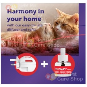 Feliway MultiCat  Starter kit Diffuser + Refill Kit 48ml 費洛蒙 貓貓 香薰 電子插坐(三腳插坐) 及 電子式 貓貓 香薰補充裝48ml [歐美製造 | 平行進口]