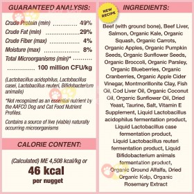 Primal Grain Free Raw Freeze Dried Cat Food Beef & Salmon Formula 生肉冷凍脫水貓糧牛及三文魚配方14oz [美國直送 | 平行進口]