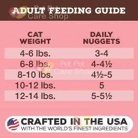 Primal Grain Free Raw Freeze Dried Cat Food Beef & Salmon Formula 生肉冷凍脫水貓糧牛及三文魚配方14oz [美國直送 | 平行進口]