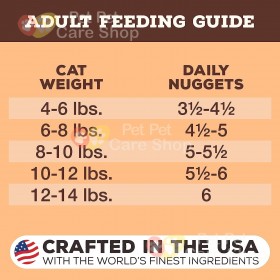 Primal Grain Free Raw Freeze Dried Cat Food Pork Formula 生肉冷凍脫水貓糧豬肉配方14oz [美國直送 | 平行進口]