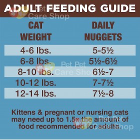 Primal Grain Free Raw Freeze Dried Cat Food Rabbit Formula 生肉冷凍脫水貓糧兔肉配方14oz [美國直送 | 平行進口]